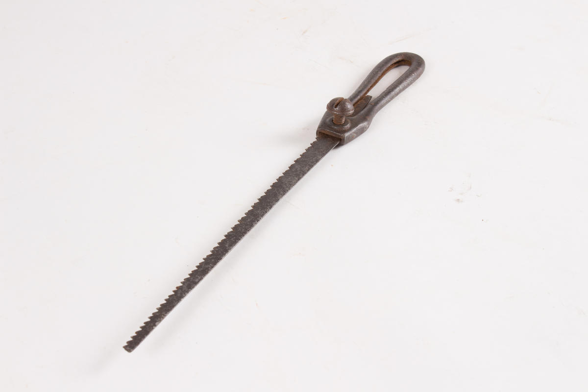 Keyhole Saw (and Blade) Chatham Historic Dockyard Trust